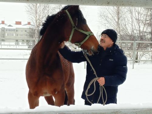 Ат спорты комплексы тулылана