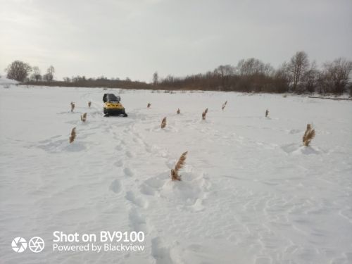 Балык күп булсын!