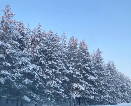 18 февральгә һава торышы