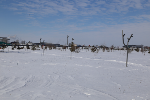 21 февральгә һава торышы