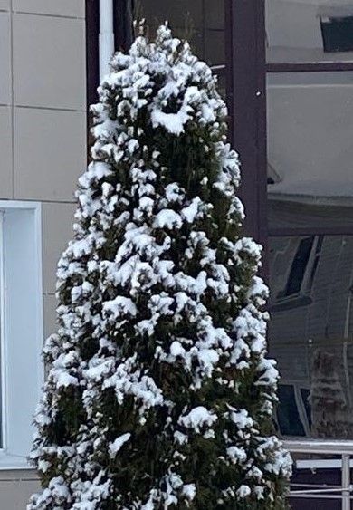 26 февраль көненә һава торышы