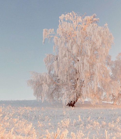 5 февральгә һава торышы