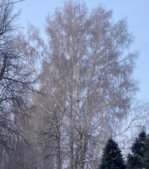 10 февральгә һава торышы