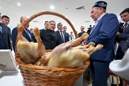 Рөстәм Миңнеханов Татар авыллары эшкуарларының XI бөтенроссия җыенында катнашты