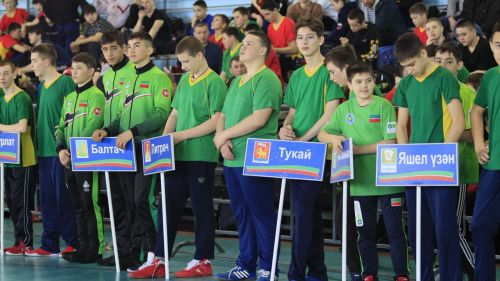Төбәкара ярышлар