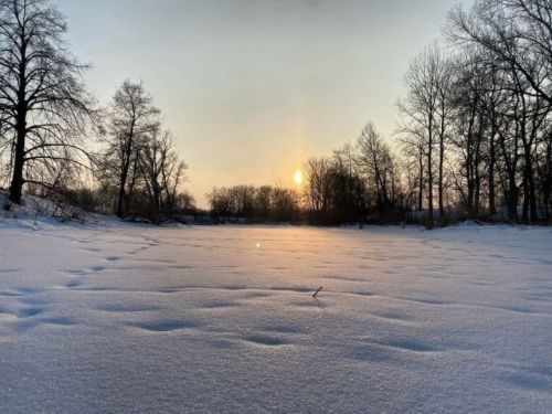 8 мартка һава температурасы