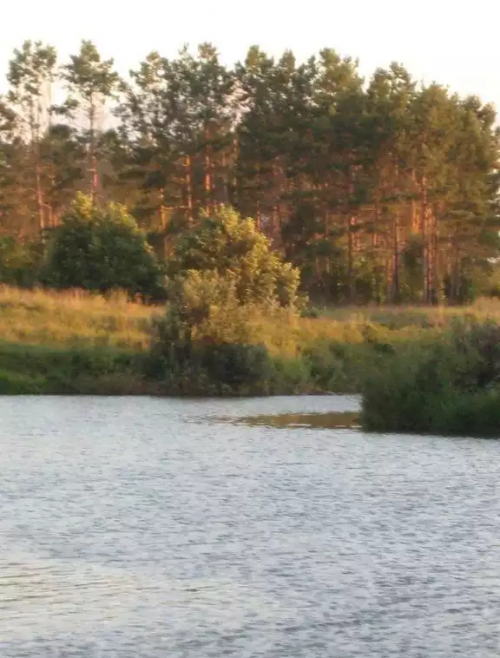 Бүләк