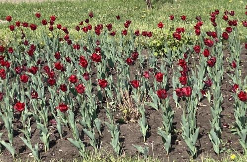 16 майга һава торышы