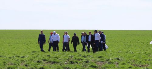 Рөстәм Миңнеханов чәчү барышына югары бәя бирде (+фоторепортаж)