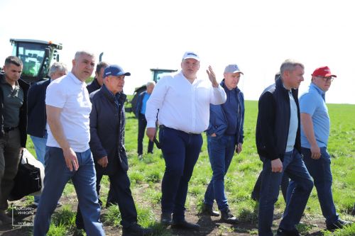 Рөстәм Миңнеханов чәчү барышына югары бәя бирде (+фоторепортаж)