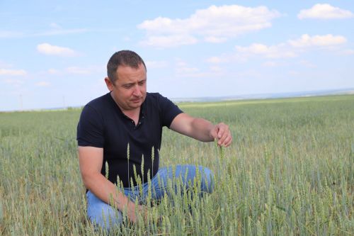 Ел елга охшамас