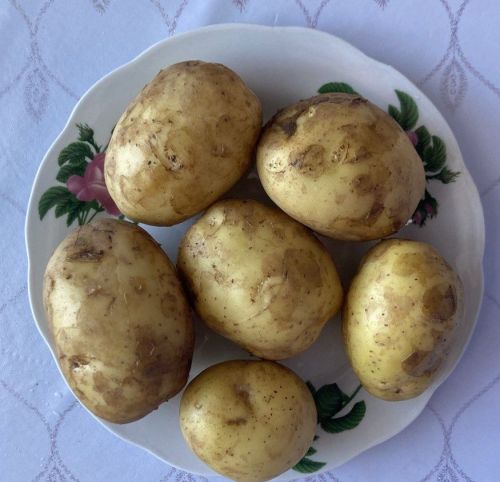 Пешкән урынны дәвалау