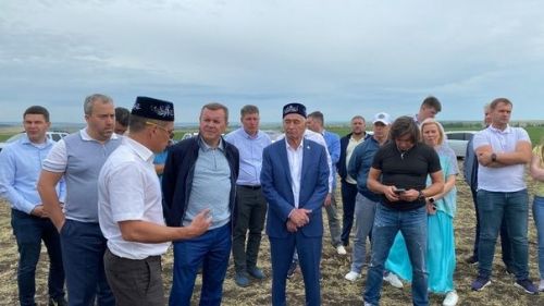 Марат Җәббаров — Мөслимдә