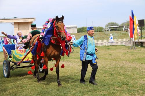 Ветераннар Сабантуе +(фоторепортаж)