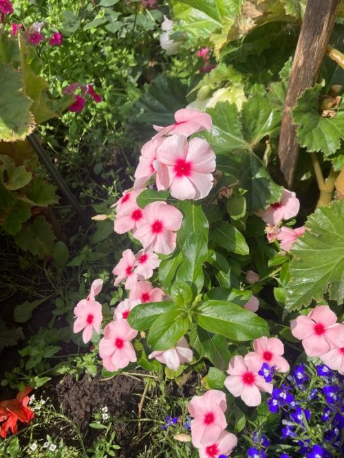 17 августка һава торышы