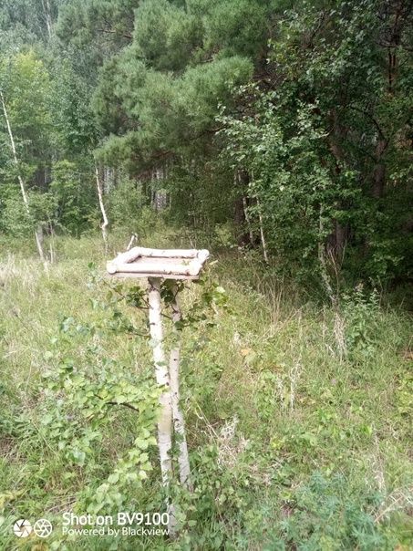 Аучылык хуҗалыкларында эш кызган чак