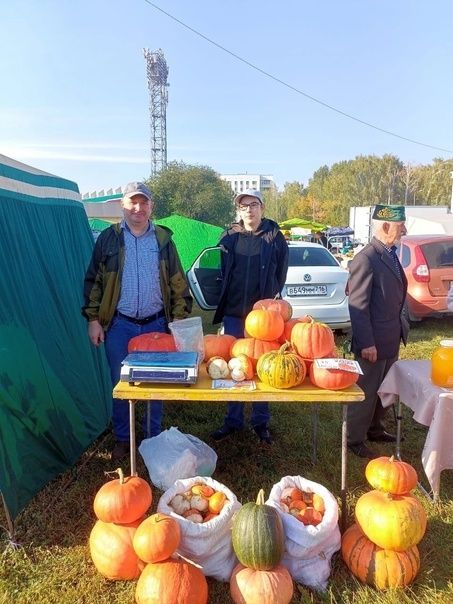 Көзге ярминкәдә үз продукциясен тәкъдим иттеләр