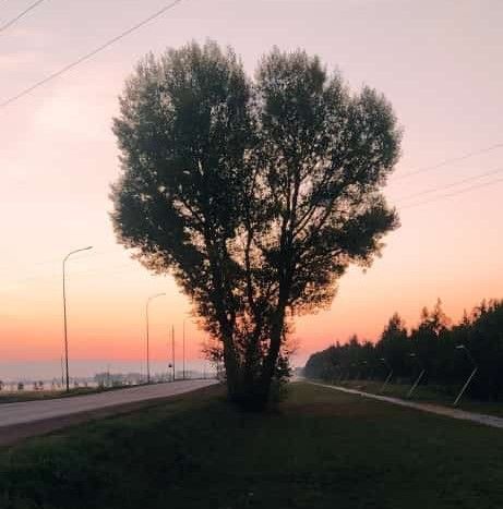 1 сентябрьгә һава торышы