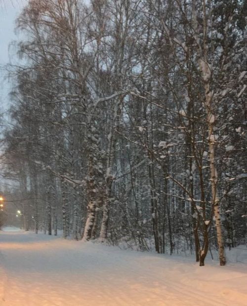 28 гыйнварга һава торышы