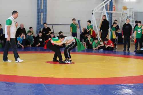 VII Республика милли көрәш бәйгесе узды (фоторепортаж)