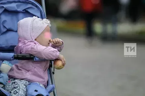 2024 ел башыннан Татарстанның 20 меңнән артык гаиләсе бала тугач бер тапкыр бирелә торган түләү алды
