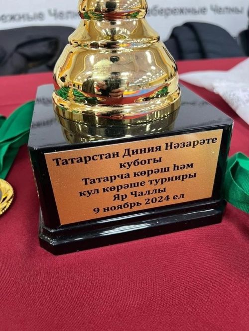 Татарча көрәш һәм кул көрәше буенча турнир үтте
