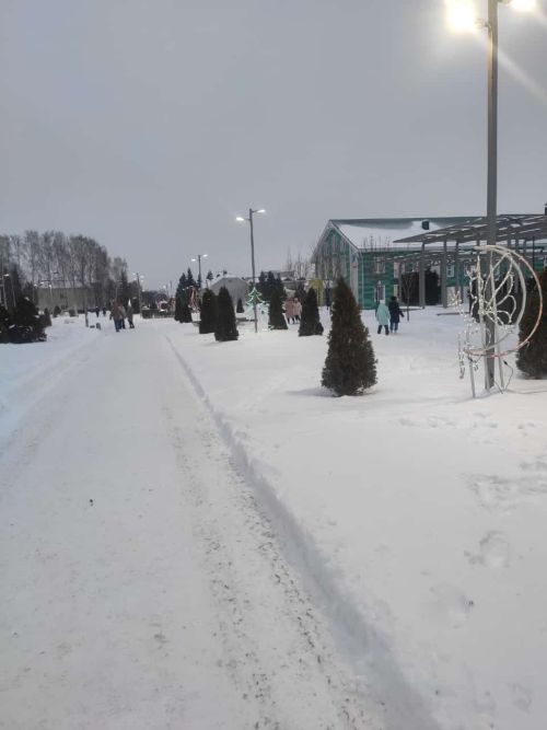 Яңа ел ялларында кая барырга, нәрсә эшләргә? Сораштыру