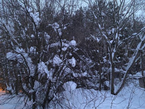 6 февральгә һава торышы