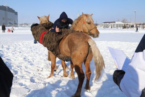Мөслимдә «Җиз кыңгырау моңнары» фестивале үтте. ФОТОРЕПОРТАЖ