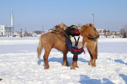 Мөслимдә «Җиз кыңгырау моңнары» фестивале үтте. ФОТОРЕПОРТАЖ