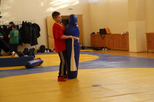 Көрәш буенча Мөслим районы беренчелегенә ярышлар узды