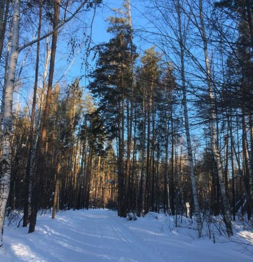 28 февральгә һава торышы