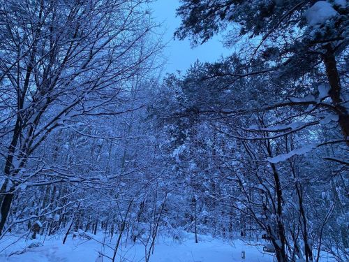 7 февральгә һава торышы