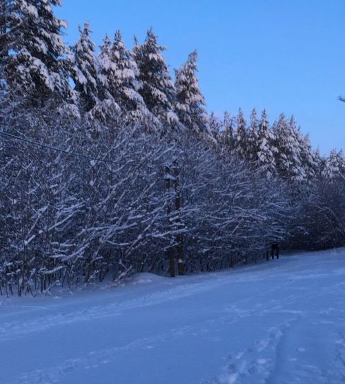 11 февральгә һава торышы