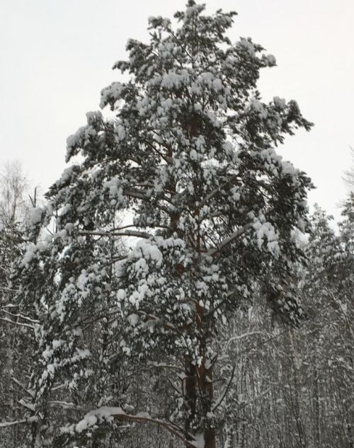 10 февральгә һава торышы