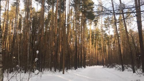 13 мартка һава торышы