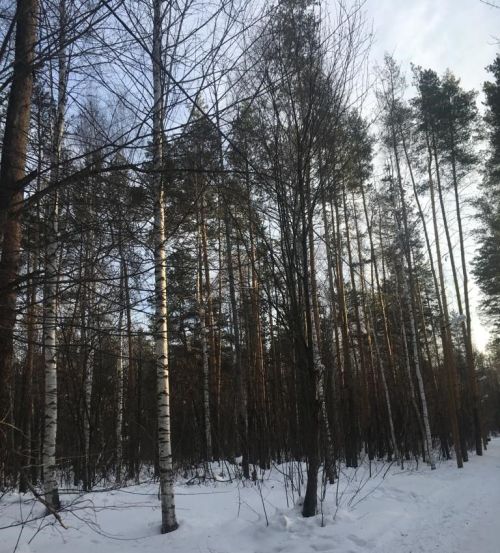 14 мартка һава торышы