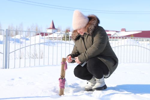 Мөслим синоптиклары