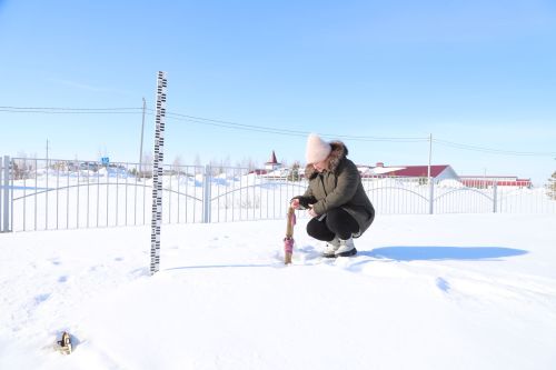 Мөслим синоптиклары