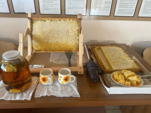 Ветеринария белгечләре, хуҗалык җитәкчеләре белән берлектә умартачылар семинары үтте