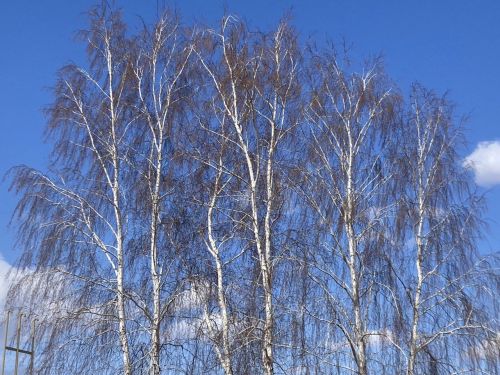 22 апрельгә һава торышы