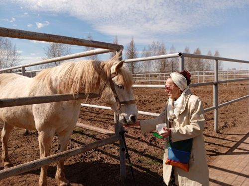 Өлкәннәр ат спорты комплексына экскурсиягә бардылар