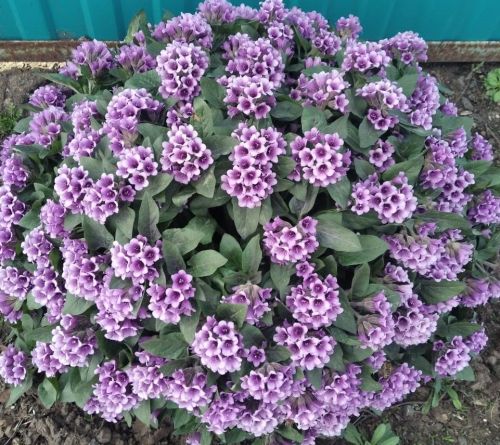 28 апрельгә һава торышы