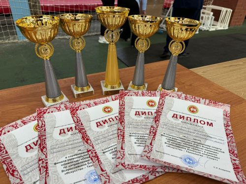 Тукайлылар Бөтенроссия олимпиадасыннан җиңү белән кайталар