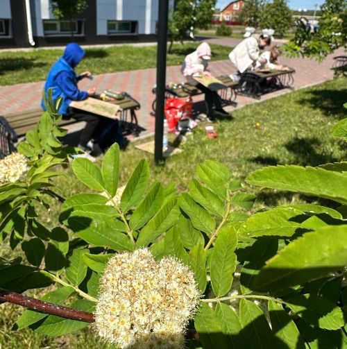 Сәнгать мәктәбенең рәсем бүлегендә укучылар табигатьтә иҗат итә