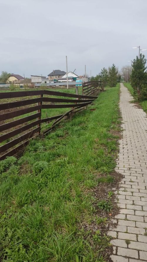 Матурлык үзебездән тора