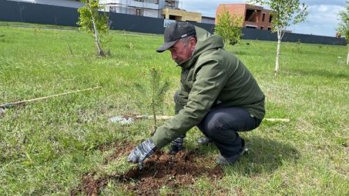 Райондашларыбыз «Хәтер бакчасы» акциясендә катнаша