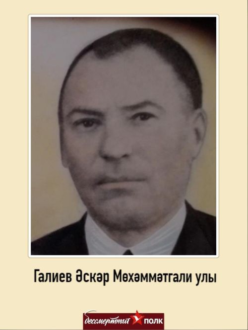 Минем герой. Минем гаилә