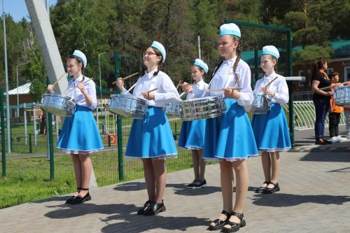 Патриотик үсеш мохите