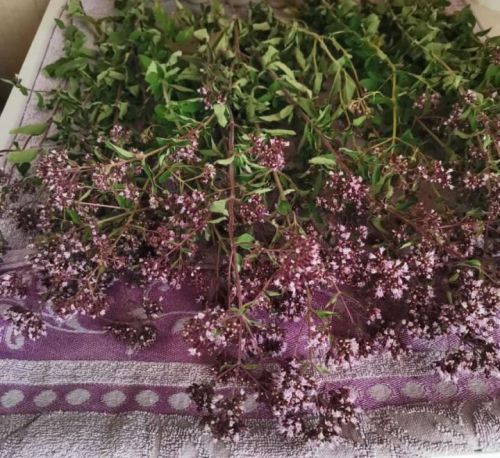 Тыныч йоклар өчен